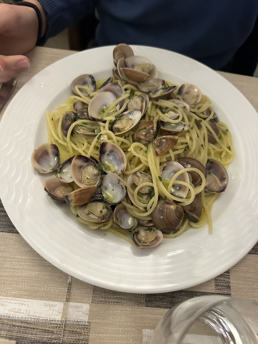 La Nuova Conchiglia Di Ungaro Vito Photos 2